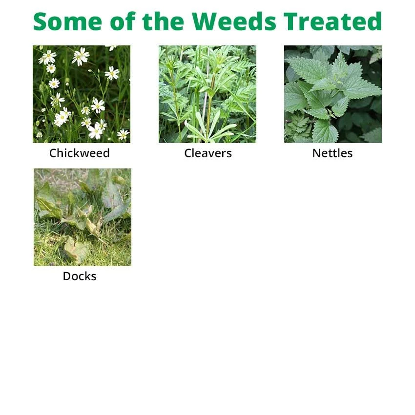 Hurler - Grassland Weedkiller - Enhances Thrust & PastureMaster - Image 2