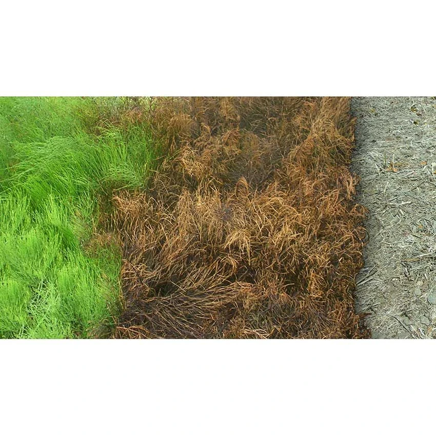 Kurtail Evo Horsetail Killer & K Plus Bundle - Image 4