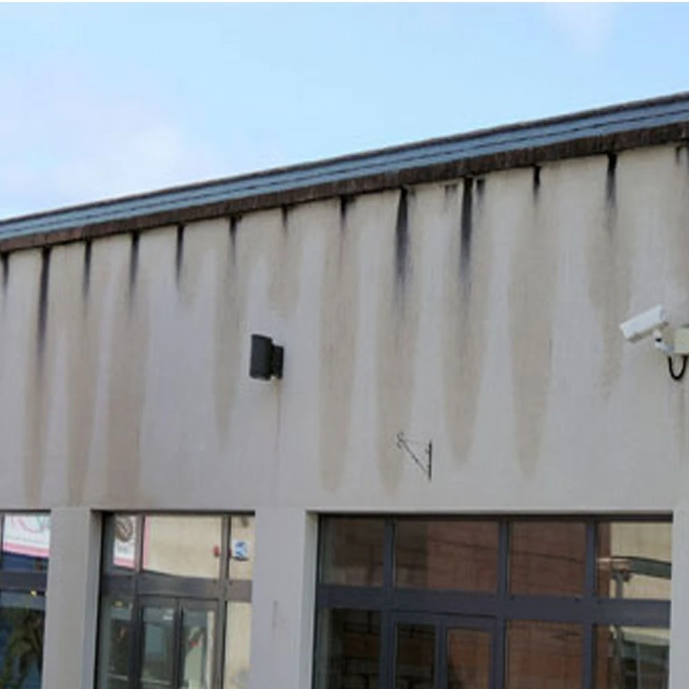 MetaClear - Removes Black Fungal Staining On Walls, Render & Masonry - Image 2