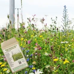 Amvista Highgrove Melay Pure Wildflower Mix 100%