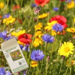 Amvista Richmond Palette Pure Wildflower Mix 100%