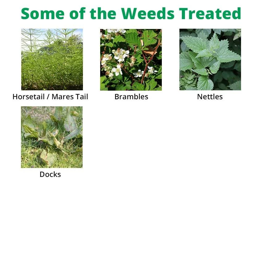 SBK Brushwood Killer 1L & KPlus 250ML & Proweed 1.5L Sprayer - Image 2