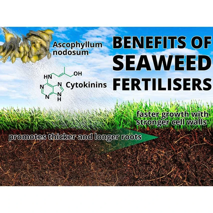 Maxicrop Natural Organic Fertiliser 10L - Image 2