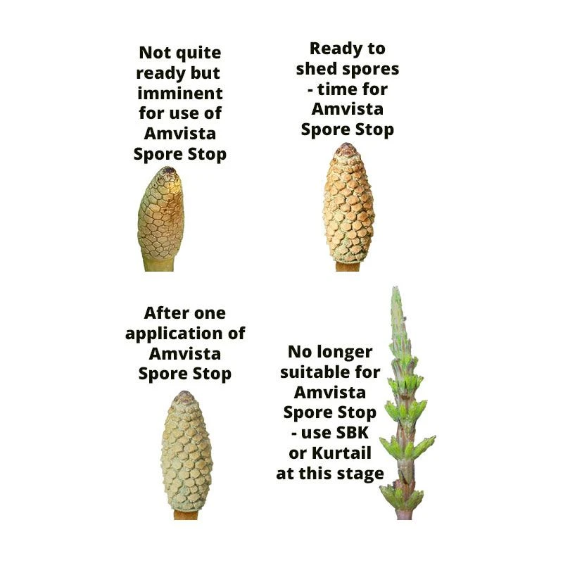 Amvista Spore Stop 250ml - Reduces Spread Of Horsetail
